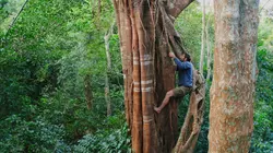 A l'épreuve d'une tribu : Mékong L'or des forêts