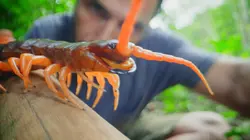 A l'épreuve d'une tribu : Mékong