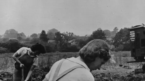 A l'ombre de la Seconde Guerre mondiale La vie malgré tout