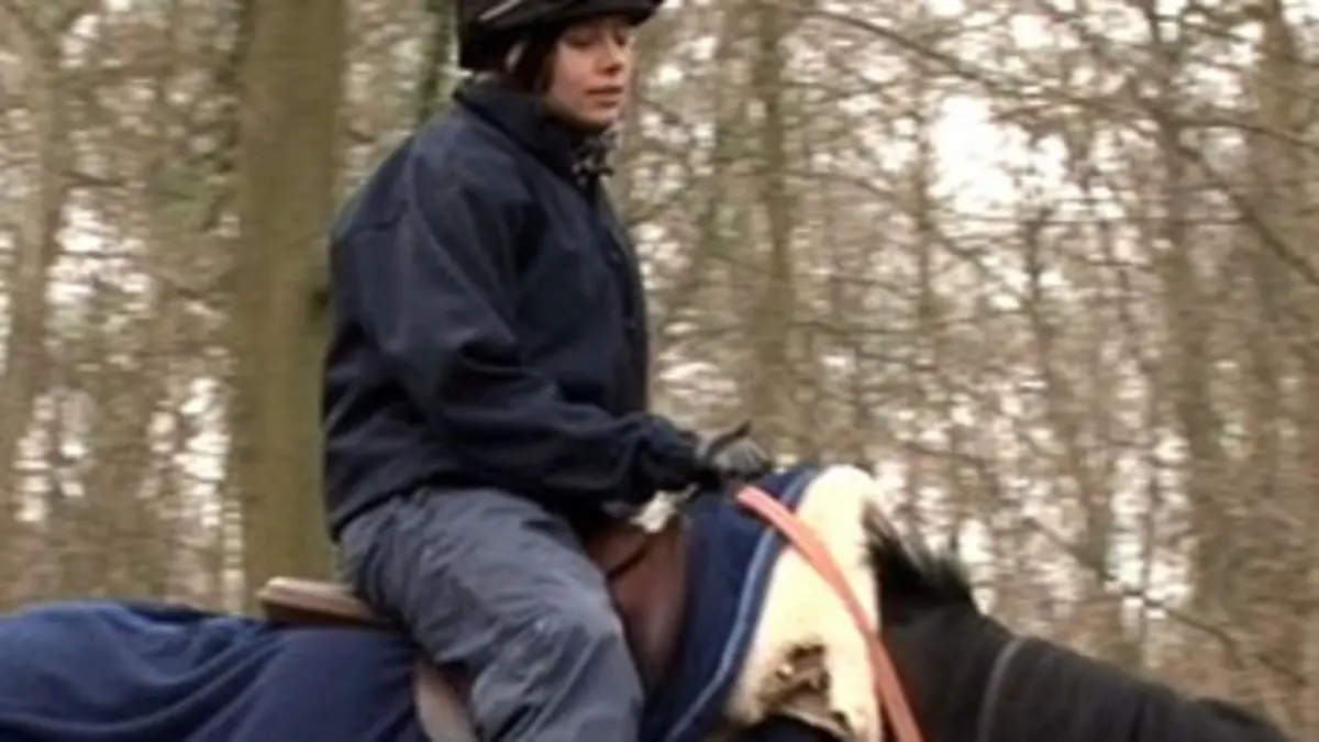 A l'ombre des cracks