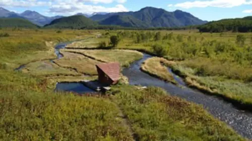 A l'ombre des volcans du Kamtchatka