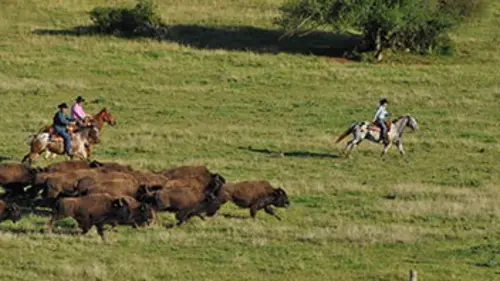 A l'ouest des Cévennes