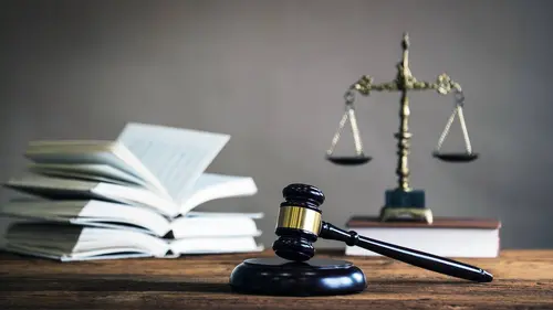 A la conquête d'un droit, la genèse de la QPC
