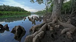 Visuel de A la croisée des océans