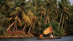 A la découverte de l'Inde sauvage