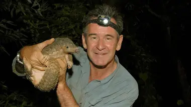 A la rencontre des géants