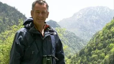 Au pays des moutons bleus