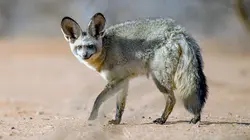 A la découverte de la Namibie