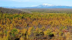 Visuel de A la découverte de la Sibérie