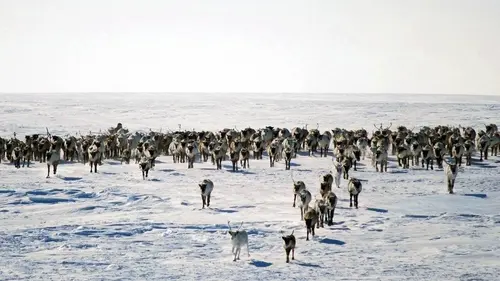 A la découverte de la Sibérie