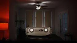 A la poursuite de la jeunesse éternelle