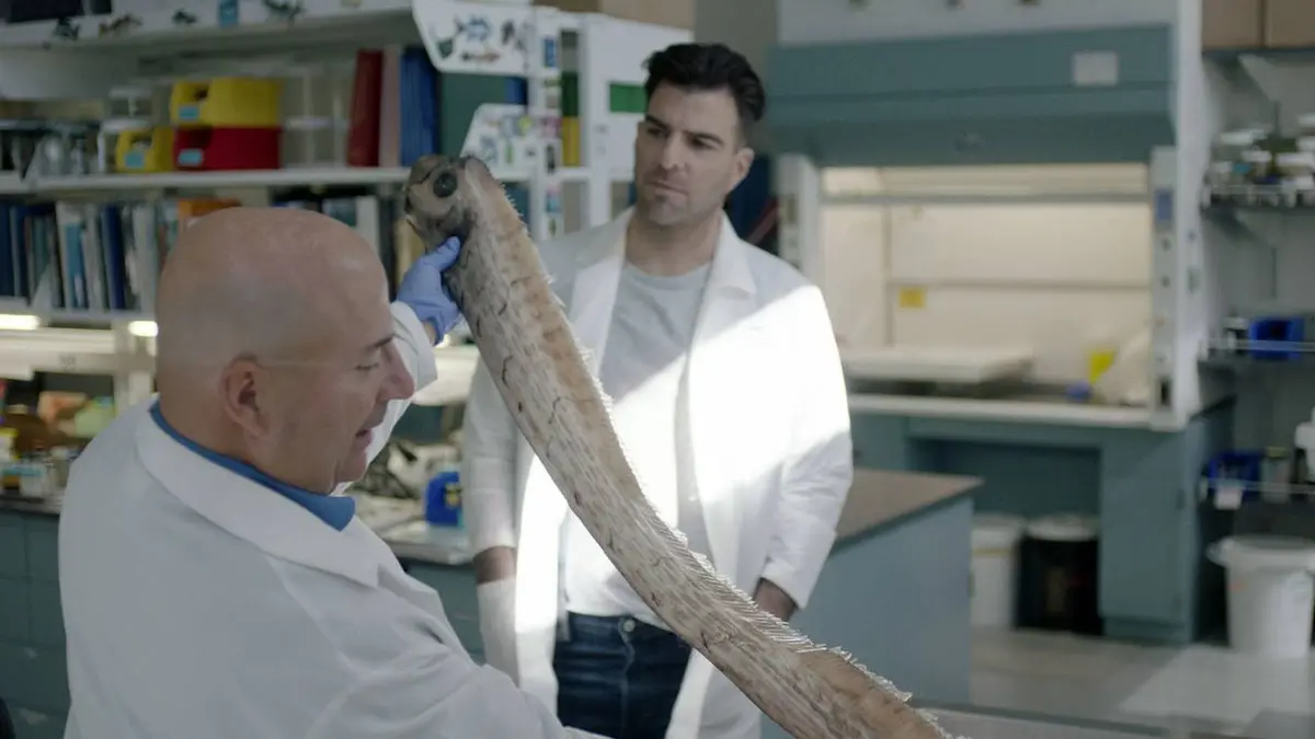 A la recherche de... avec Zachary Quinto S01E03 Monstres marins