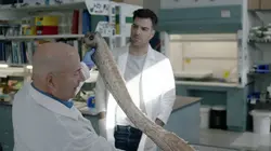 Sur Planète+ Aventure à 22h30 : A la recherche de... avec Zachary Quinto