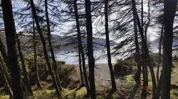 A la recherche de... avec Zachary Quinto