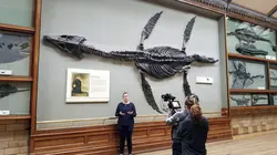 A la recherche de... avec Zachary Quinto