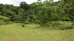 A la recherche de Cody Dial