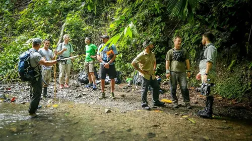 A la recherche de Cody Dial