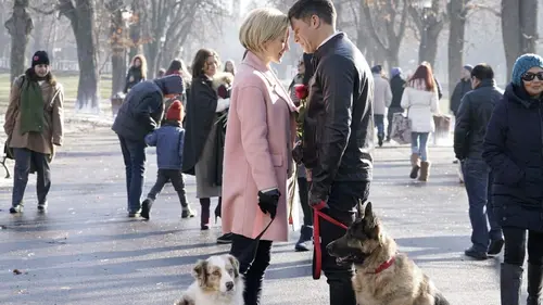 A la recherche de l'âme soeur en streaming