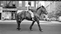 A la recherche de Vivian Maier