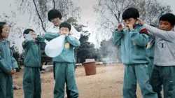 A la recherche des Frog Boys