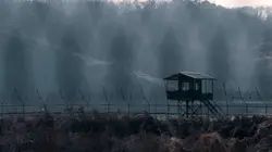 A la recherche des Frog Boys