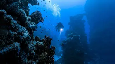 Balistique de guerre