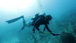 Visuel de A la recherche des sous-marins perdus