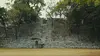 A la recherche des tombes royales mayas