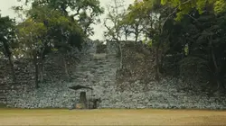 Visuel de A la recherche des tombes royales mayas