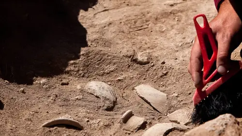 A la recherche des trésors perdus