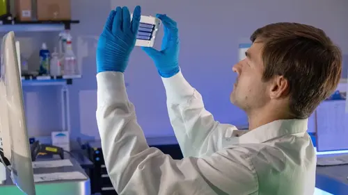 A la recherche du bon gras en streaming