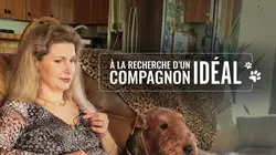 A la recherche du compagnon idéal Airedale Terrier / Bull Terrier