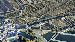 Visuel de A la recherche du goût perdu en Nouvelle-Aquitaine