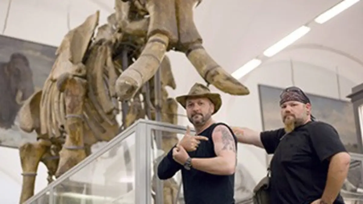 A la recherche du mammouth