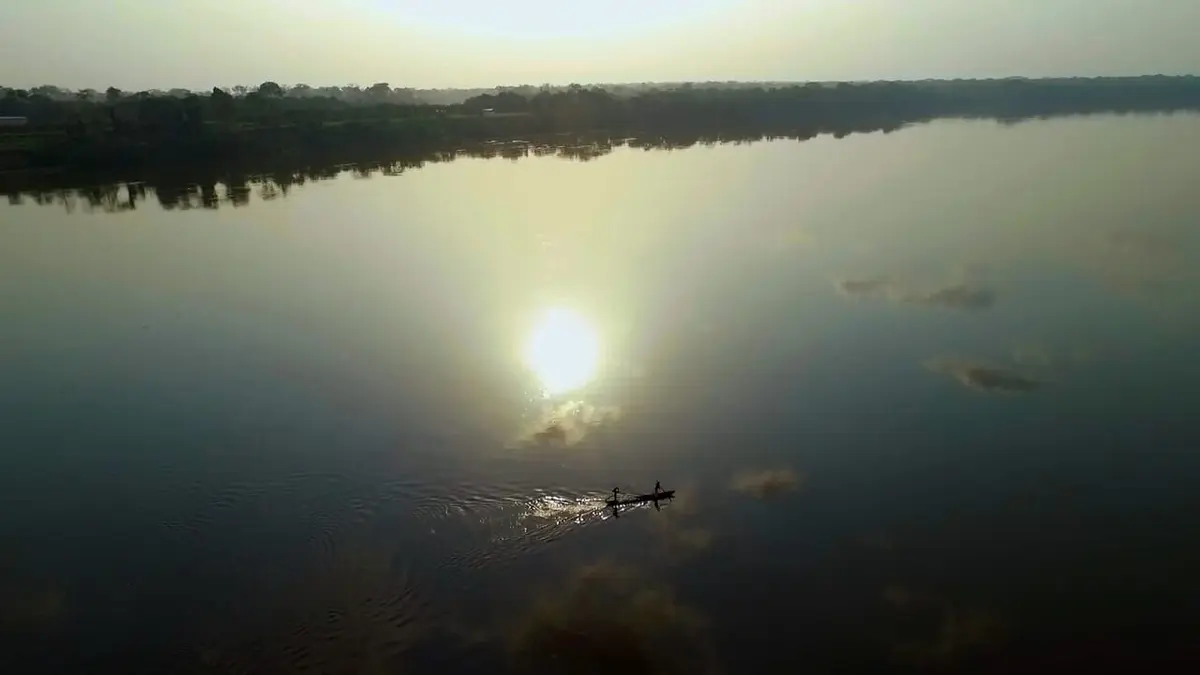 A la reconquête des forêts Congo, un nouveau pacte avec la forêt