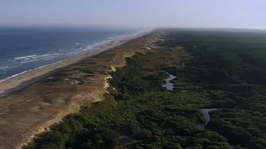 A la reconquête des forêts S01E01 Les Landes, à l'aube d'un nouvel équilibre