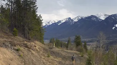 Des corridors pour les grizzlis