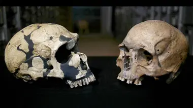 A la rencontre de Neandertal
