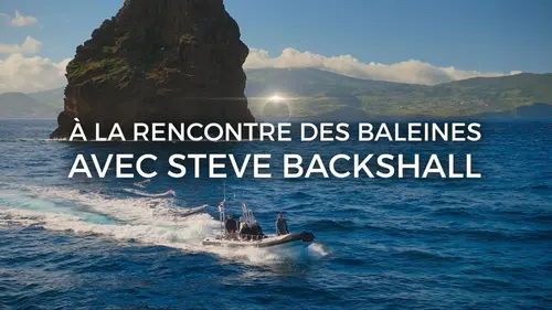 A la rencontre des baleines avec Steve Backshall Les chasseresses des océans