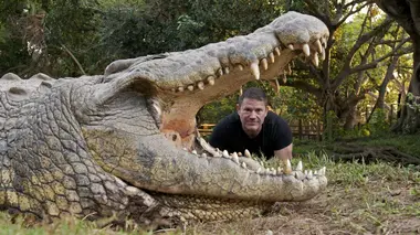 A la rencontre des crocodiles avec Steve Backshall