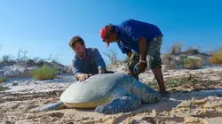 A la rencontre des peuples des mers Australie : les Bardi Jawi
