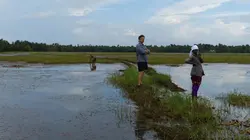 A la rencontre des peuples des mers Inde : les Malayalis