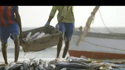 A la rencontre des peuples des mers Mauritanie : les Imraguen