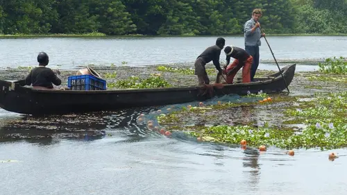 A la rencontre des peuples des mers Inde : les Malayalis