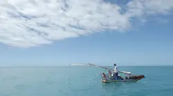 A la rencontre des peuples des mers Brésil : les Jangadeiros