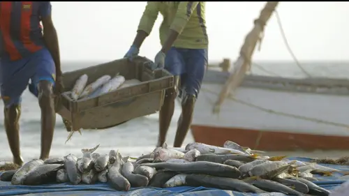 A la rencontre des peuples des mers Mauritanie : les Imraguen