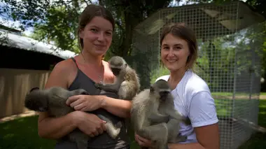 A la rescousse des orphelins de la nature