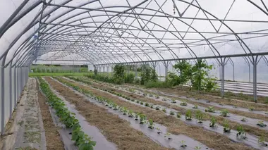 Loire Bretagne : Peut-on faire de l'agriculture avec juste de l'eau de pluie ?