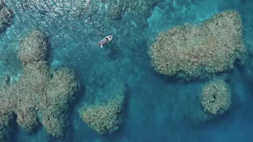 A la vie, à la terre Nouvelle Calédonie : L'inconnue du Pacifique