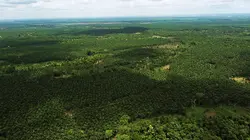 A la vie, à la terre Cameroun, la terre des femmes